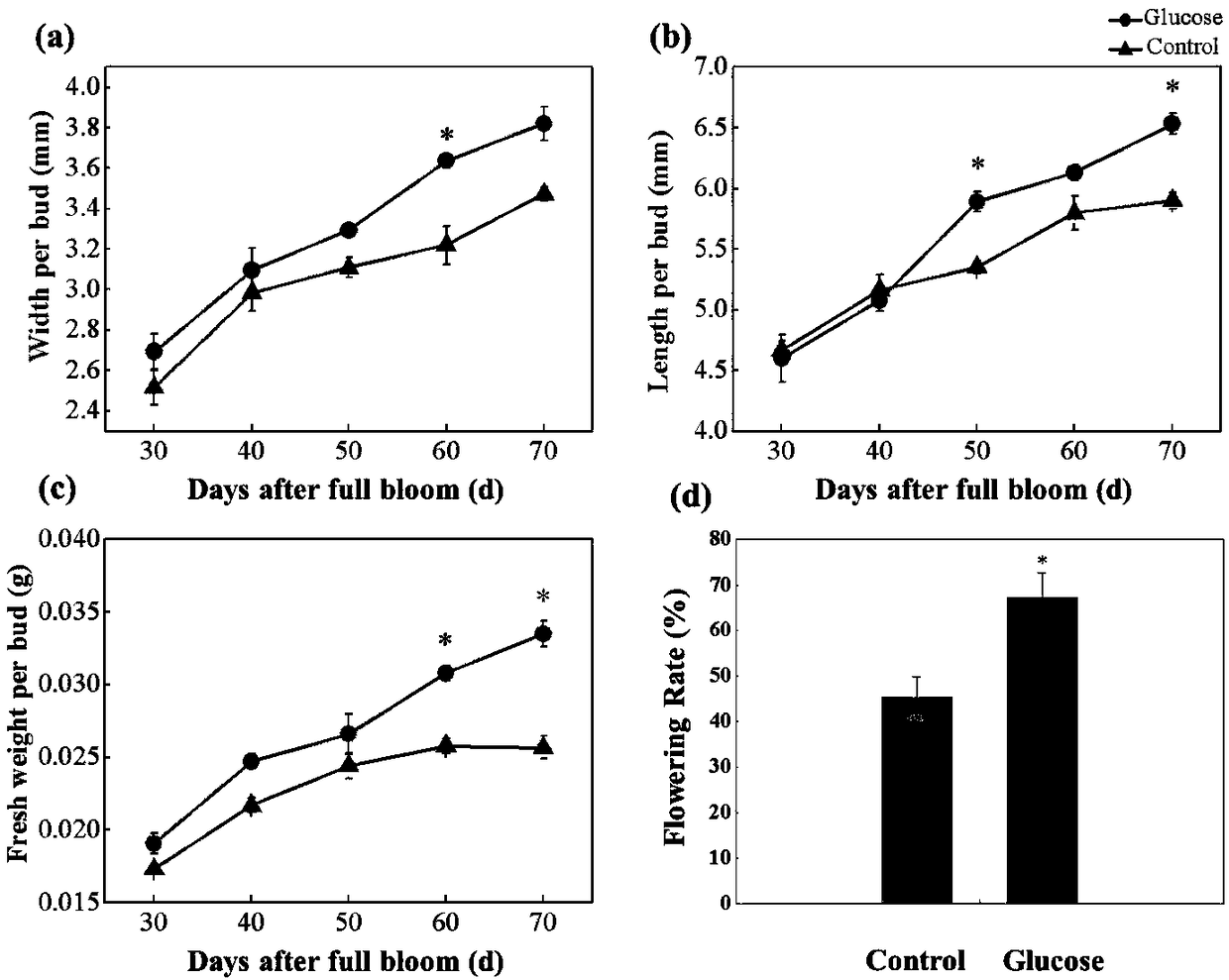 Drug for improving initiation rate of flower buds of Fuji apples and measuring method