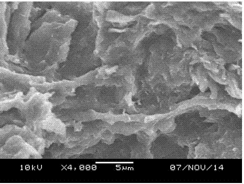 Polyvinyl chloride/graphene nanocomposite and preparation method thereof