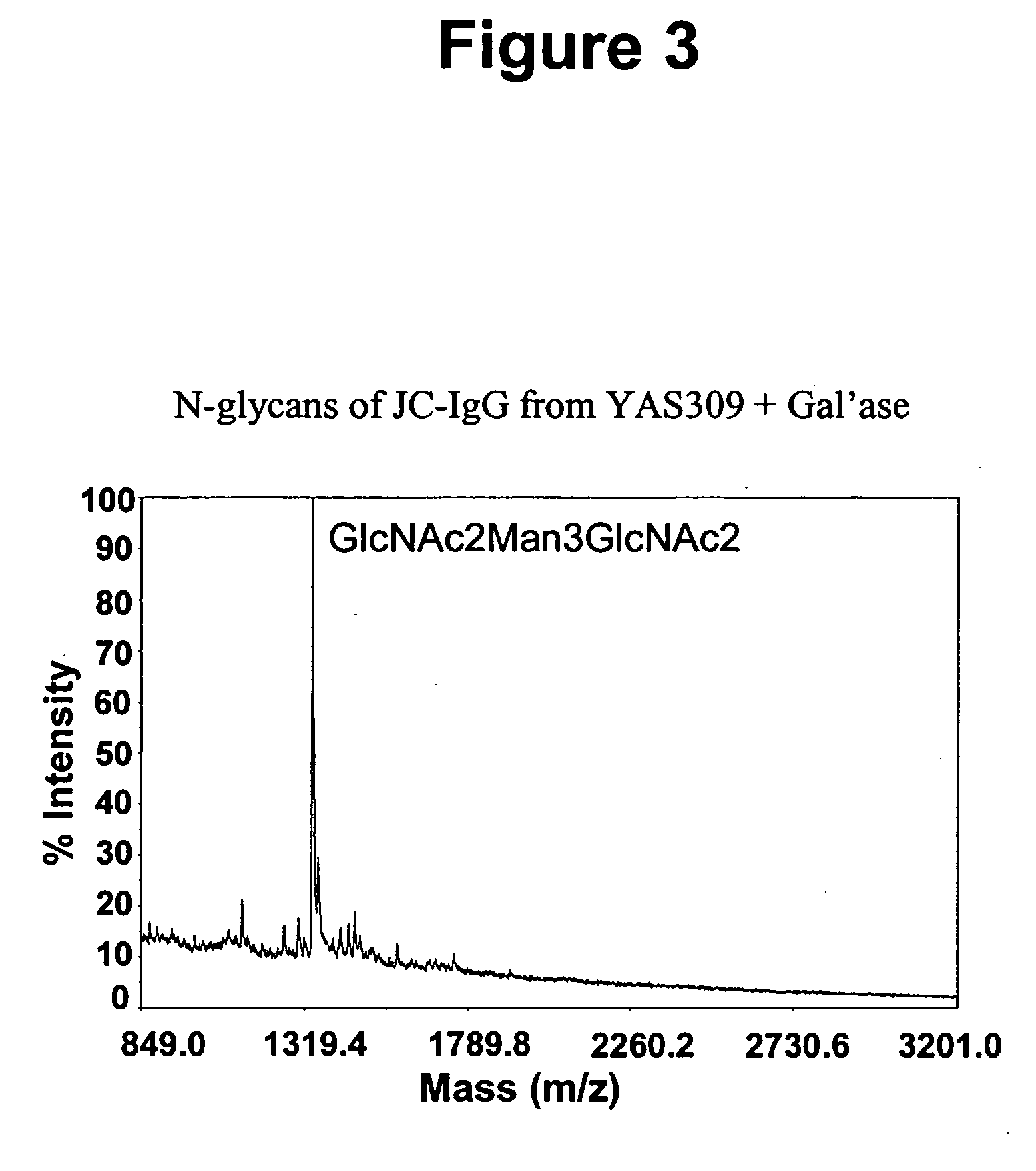 Immunoglobulins comprising predominantly a GlcNAc2Man3GlcNAc2 glycoform
