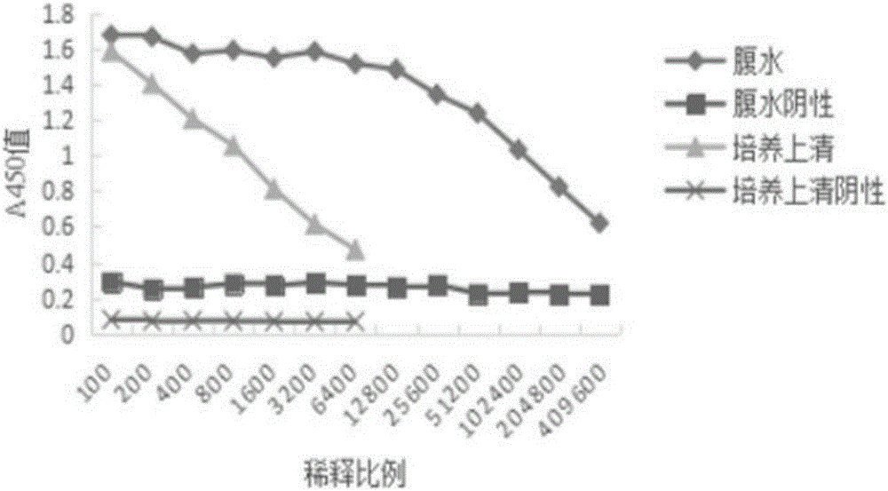 Monoclonal antibody capable of secreting anti-streptococcus suis 2 AK (Aspartokinase) protein and application thereof