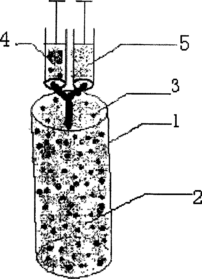 Composite structured tissue engineering cartilage graft and its preparation method