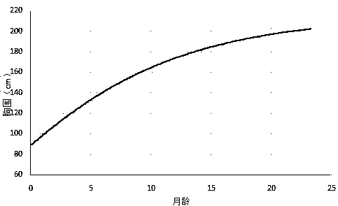 Method for regulating daily ration of Simmental-Holstein crossbred cattle by creating body size growth curve