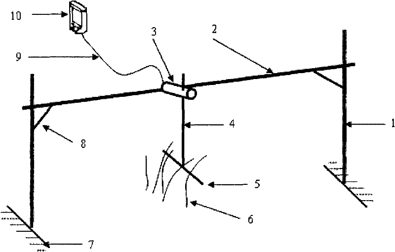 Biomass living body detection device and method based on moment
