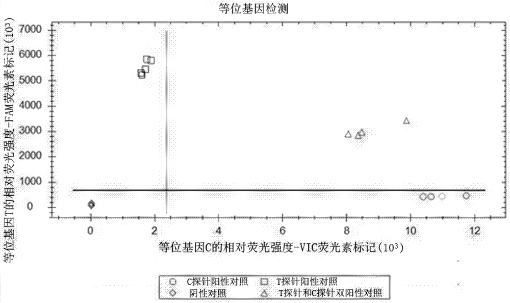 A probe pair, primer and kit for prognostic assessment of primary liver cancer