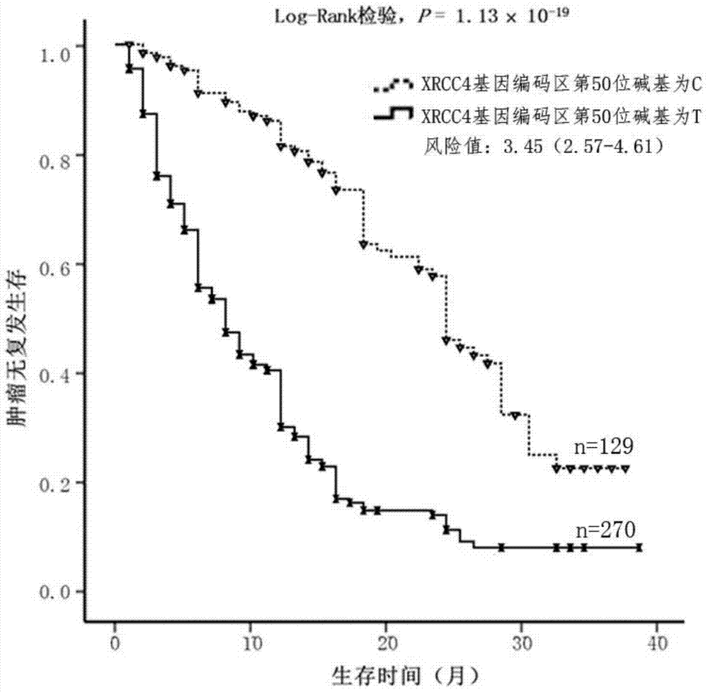 A probe pair, primer and kit for prognostic assessment of primary liver cancer