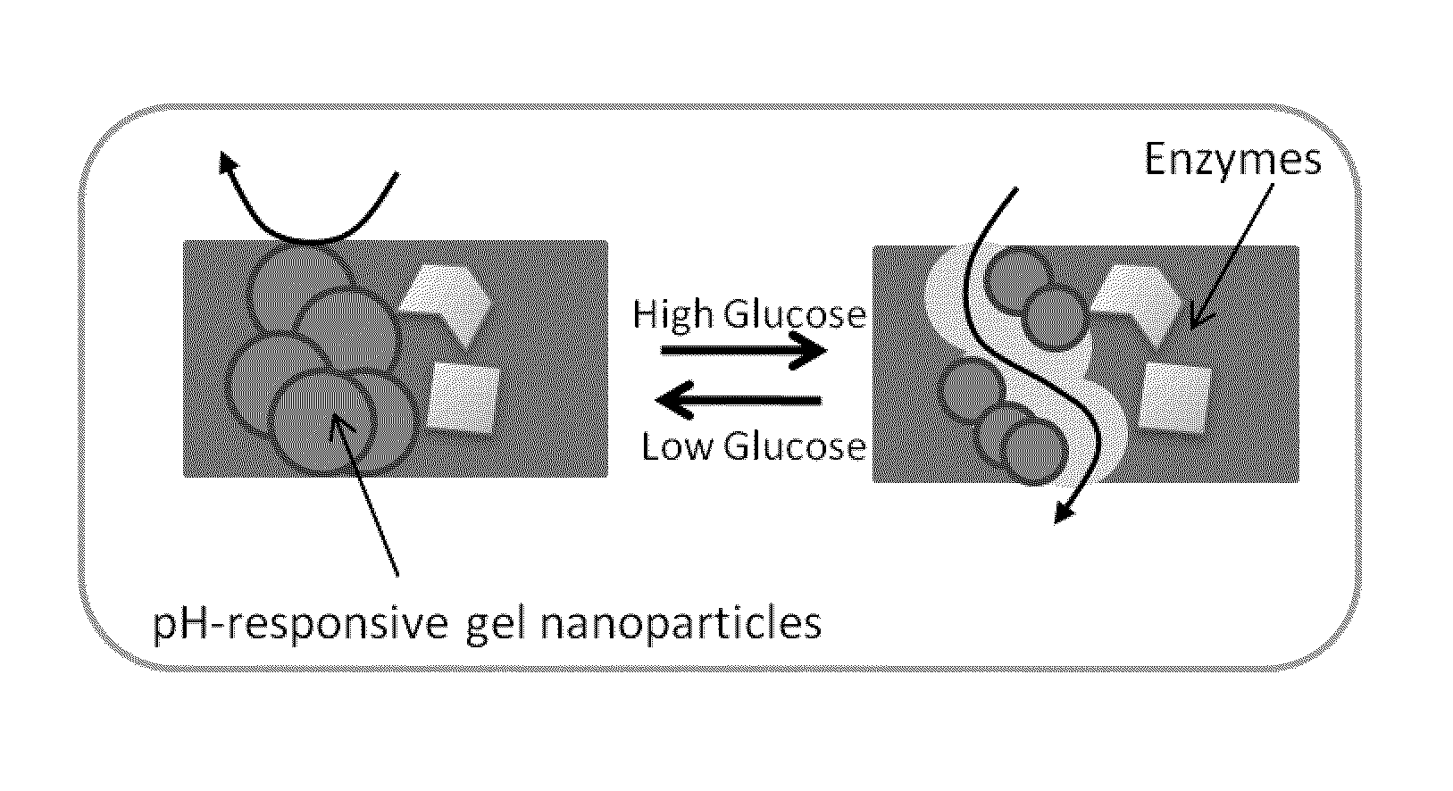 Implantable-glucose responsive insulin delivery device
