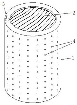 Esophageal stent device with medicine carrying and shaping functions