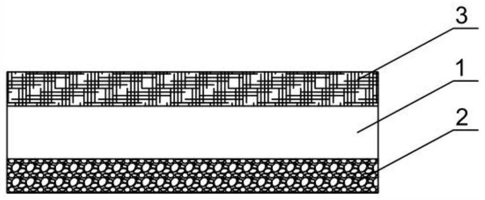 A biosensor for detecting organophosphorus pesticides and its preparation method