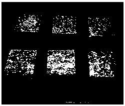 Repair mortar, preparation method and construction method for bridge pavement repair and pavement