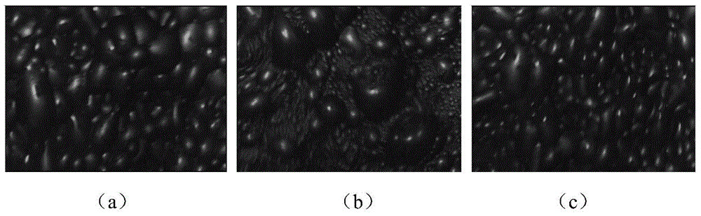 Extraction method for multi-scale multi-direction textural features of froth images