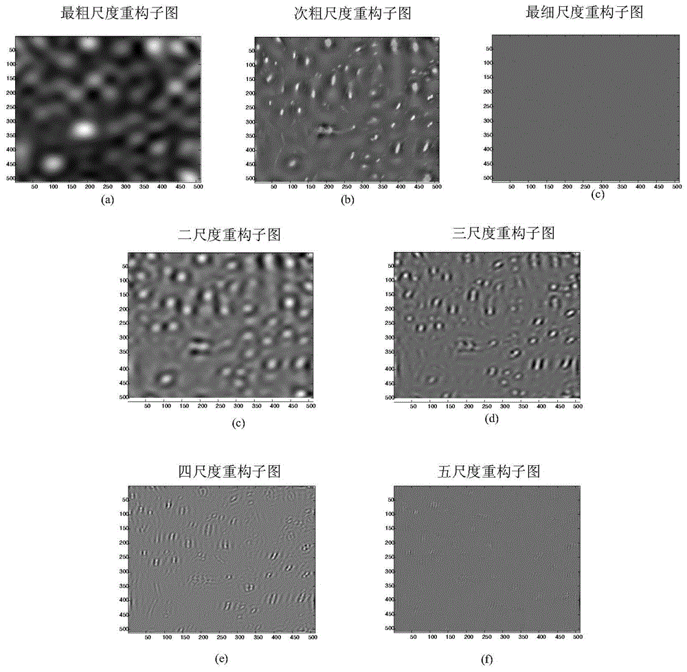 Extraction method for multi-scale multi-direction textural features of froth images