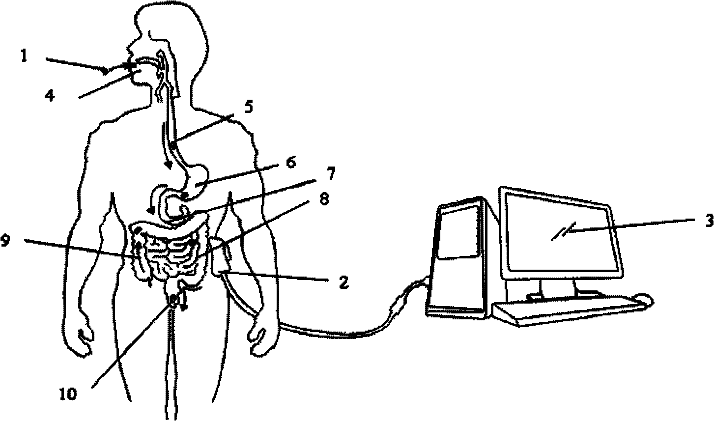 Color Doppler ultrasound capsule enteroscopy system