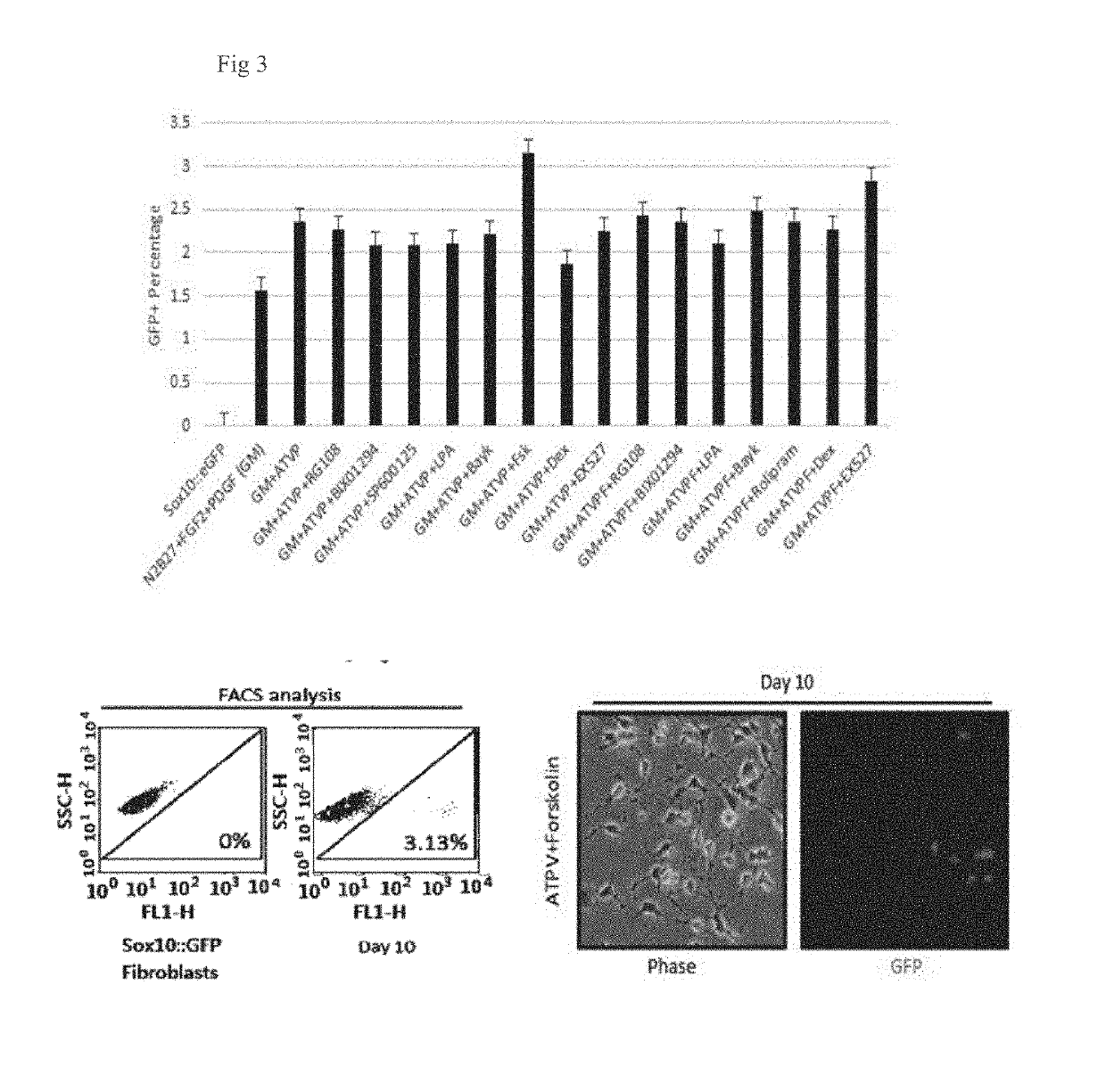 Method for inducing oligodendrocyte precursor cells from oct4-induced human somatic cells through direct reprogramming