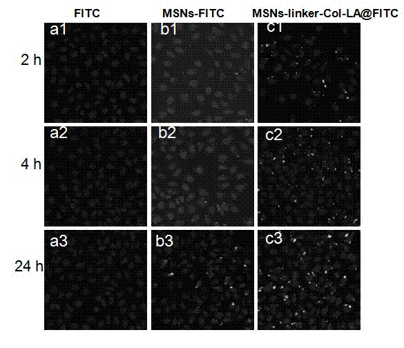 Meso-porous silicon nano-drug carrier with both reduction responsiveness and targeting ability and preparation method thereof