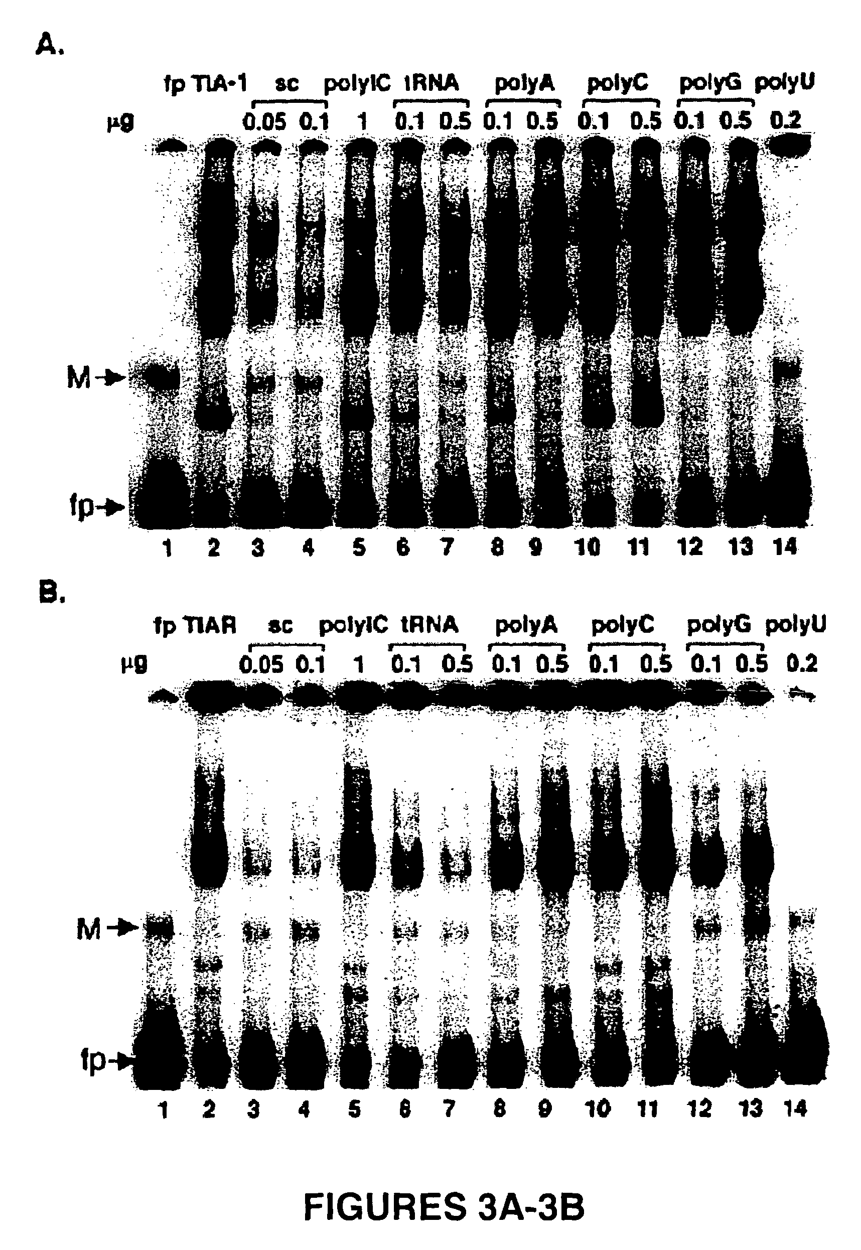 Methods and compositions for inhibition of viral replication