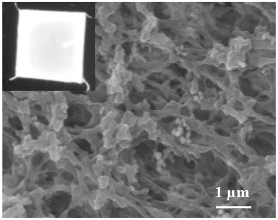 Preparation method of europium-thienoyl trifluoroacetone infinite coordination polymer nanoparticle and its film
