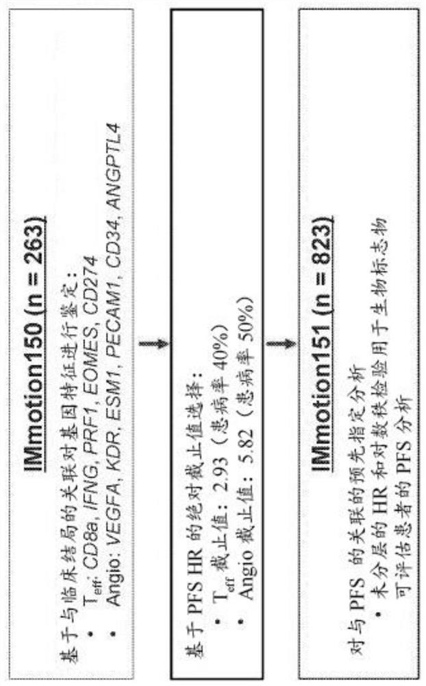 Diagnostic and therapeutic methods for sarcomatoid kidney cancer