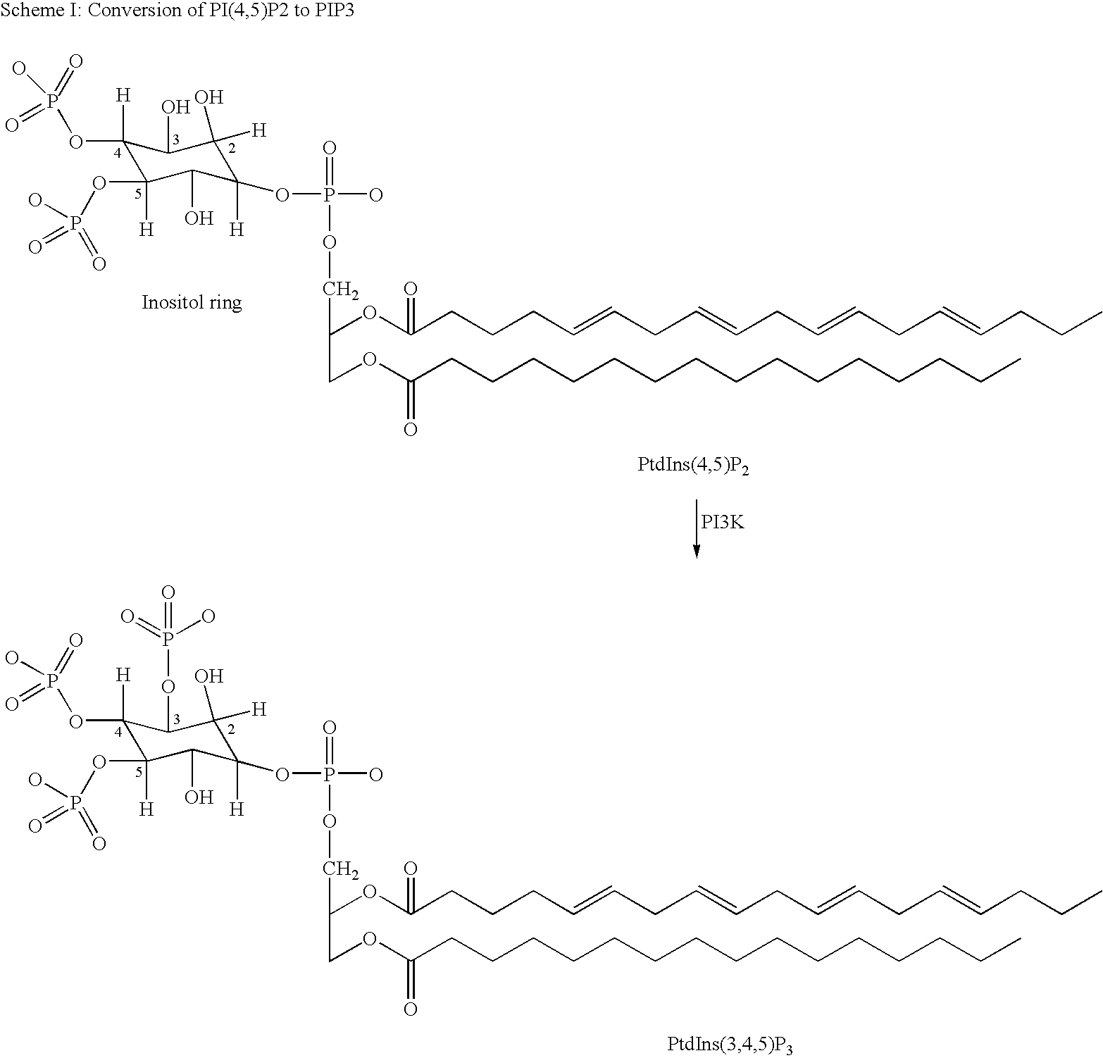 Quinazoline derivatives as p13 kinase inhibitors