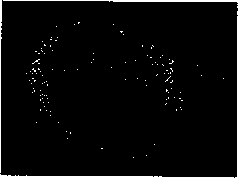 Method for preparing polyglycollide (PGA)-woven urethra scaffold for repairing urethral