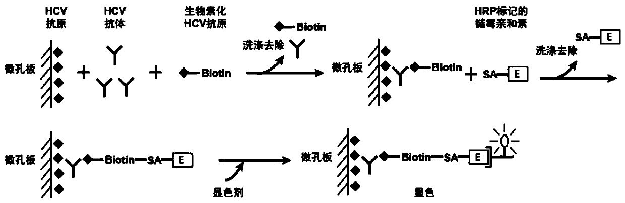 A method and detection kit for preprocessing hepatitis C antigen