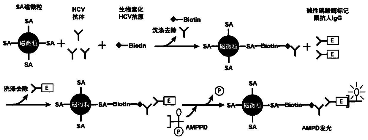 A method and detection kit for preprocessing hepatitis C antigen