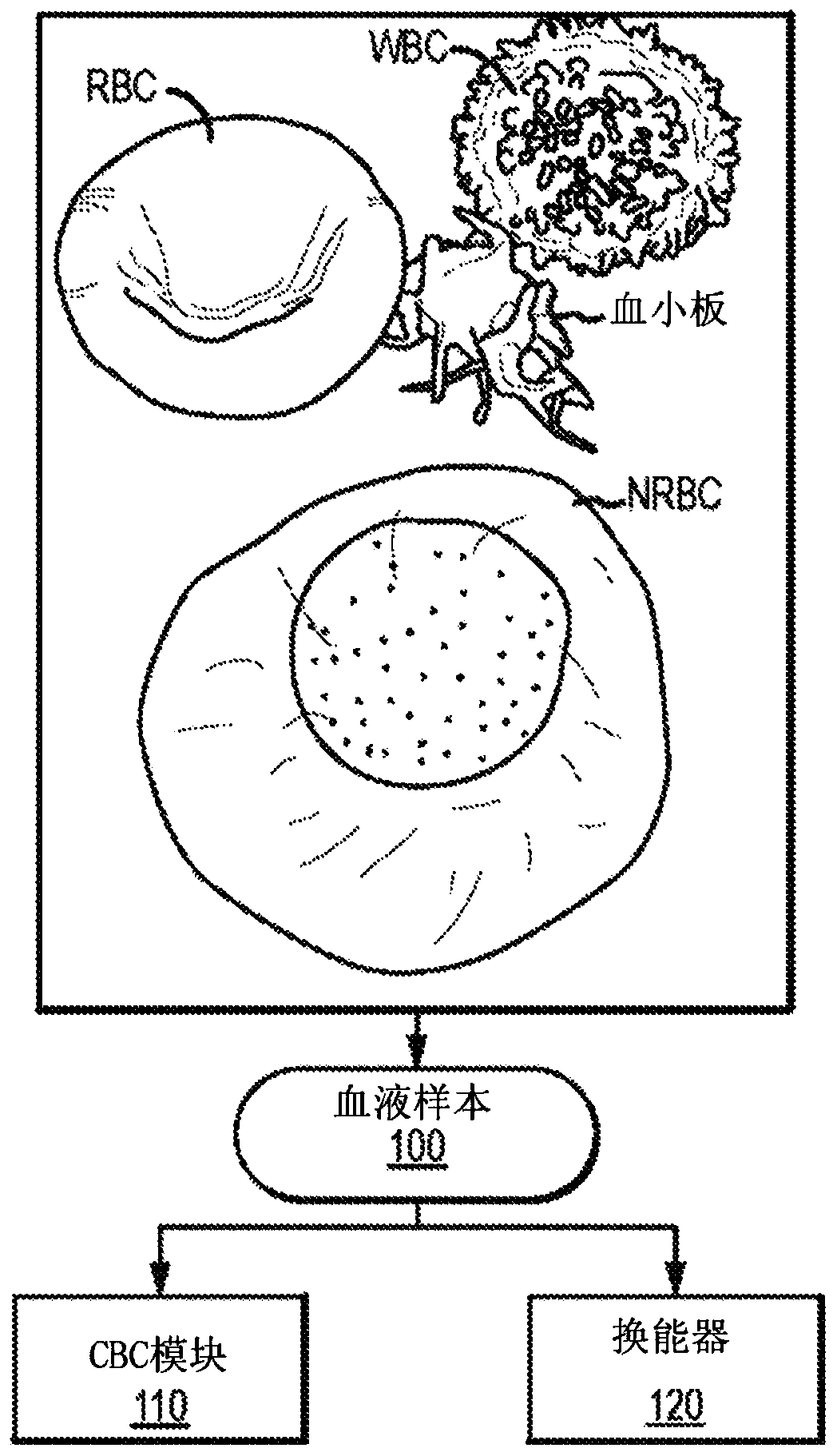 Hematology analyzers and methods of operation