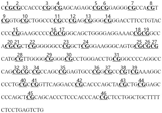 A molecular marker detection kit, nucleic acid combination and application of primary liver cancer