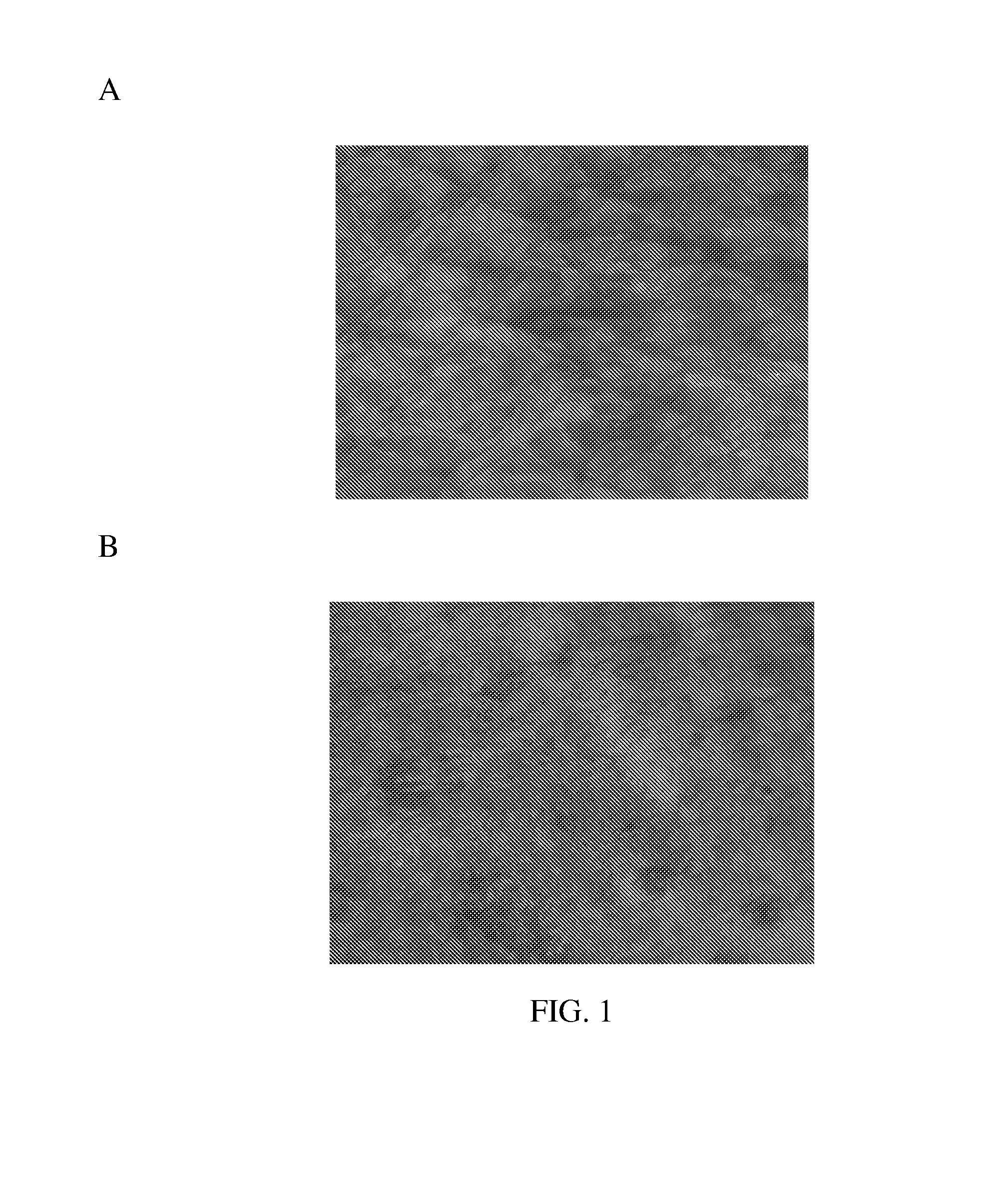 Composition and methods of enhanced skin cell turnover