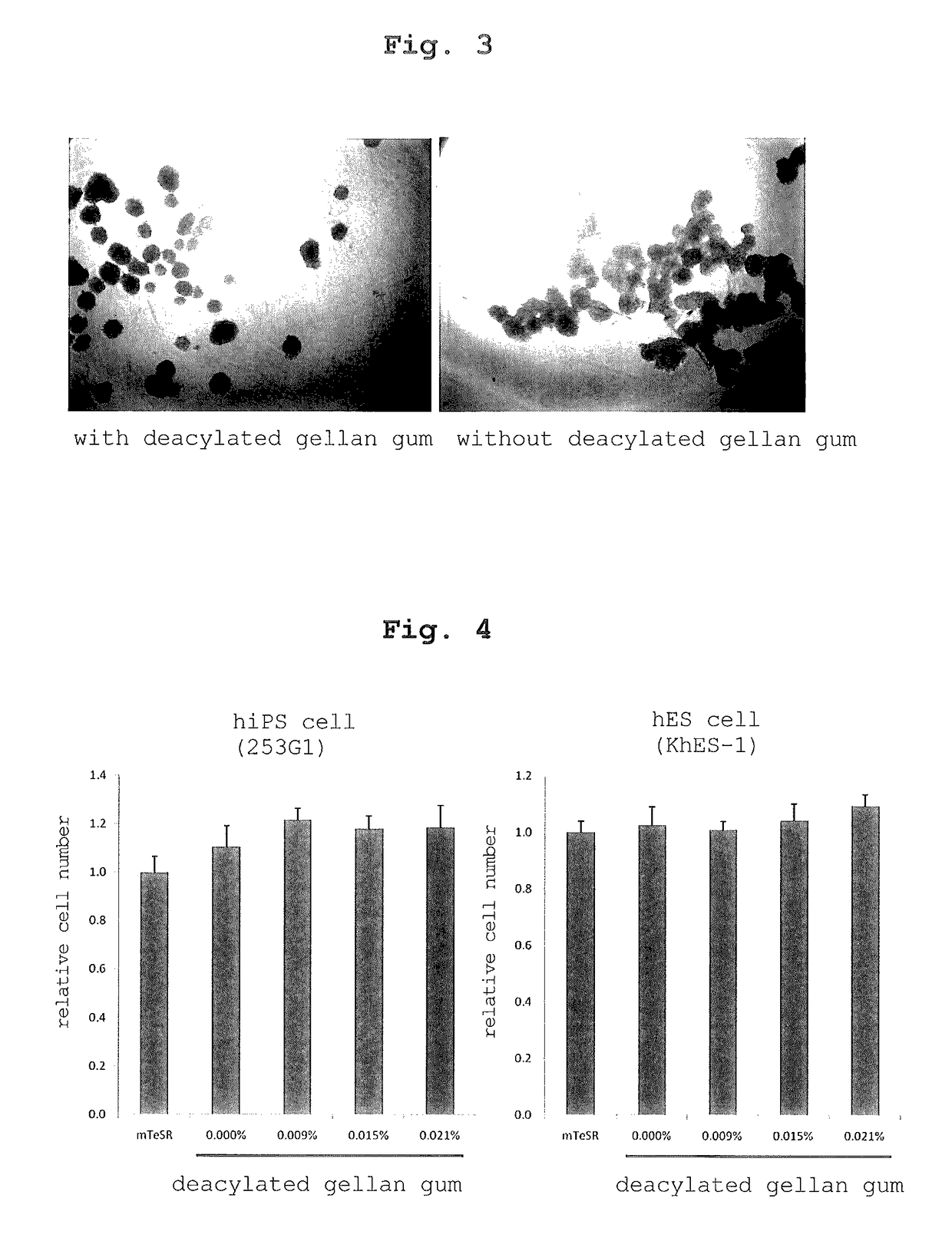 Culture medium composition and method of culturing cell or tissue using thereof