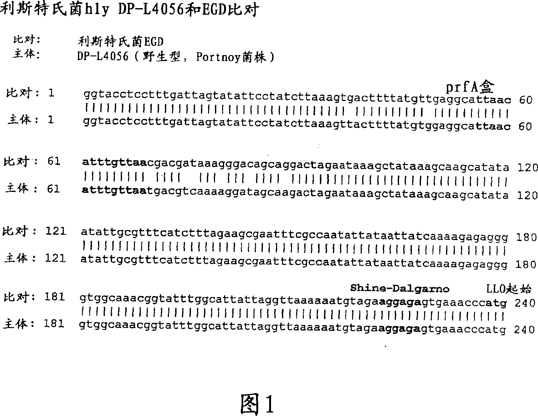 Recombinant nucleic acid molecules, expression cassettes, and bacteria, and methods of use thereof