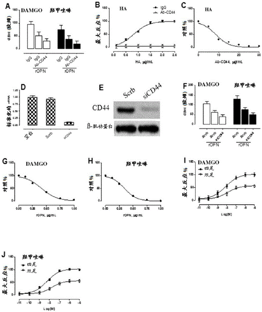 A method of increasing GIPCR signalization in the cells of a scoliotic subject