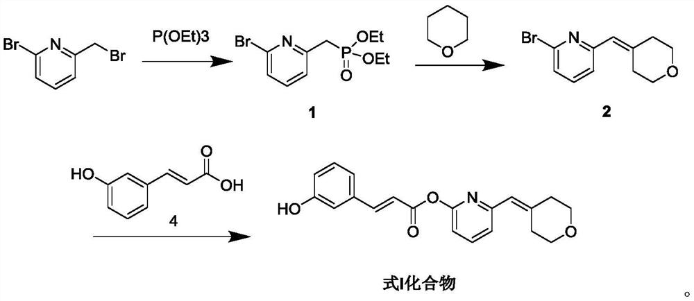 3-hydroxychalcone derivative and application thereof