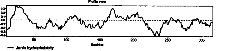 Epitope screening method capable of exciting anti-mycobacterium tuberculosis protective immunological reaction of body and uses