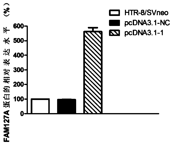 Application of fam127a in pregnancy disorders