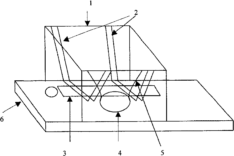 Body position fixing device and method