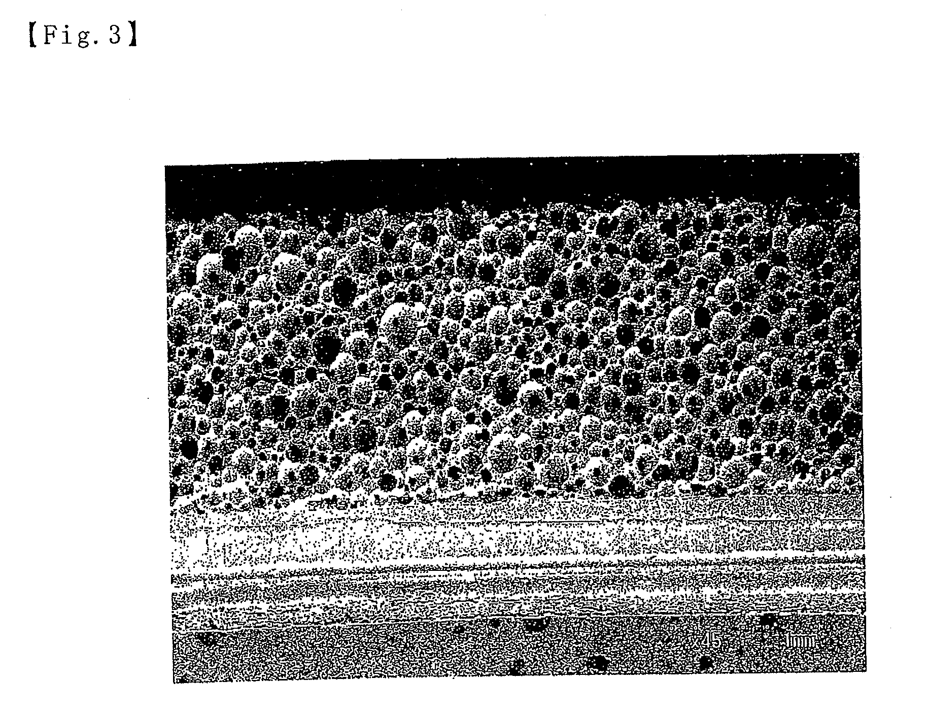 Polishing pad and a method for manufacturing the same