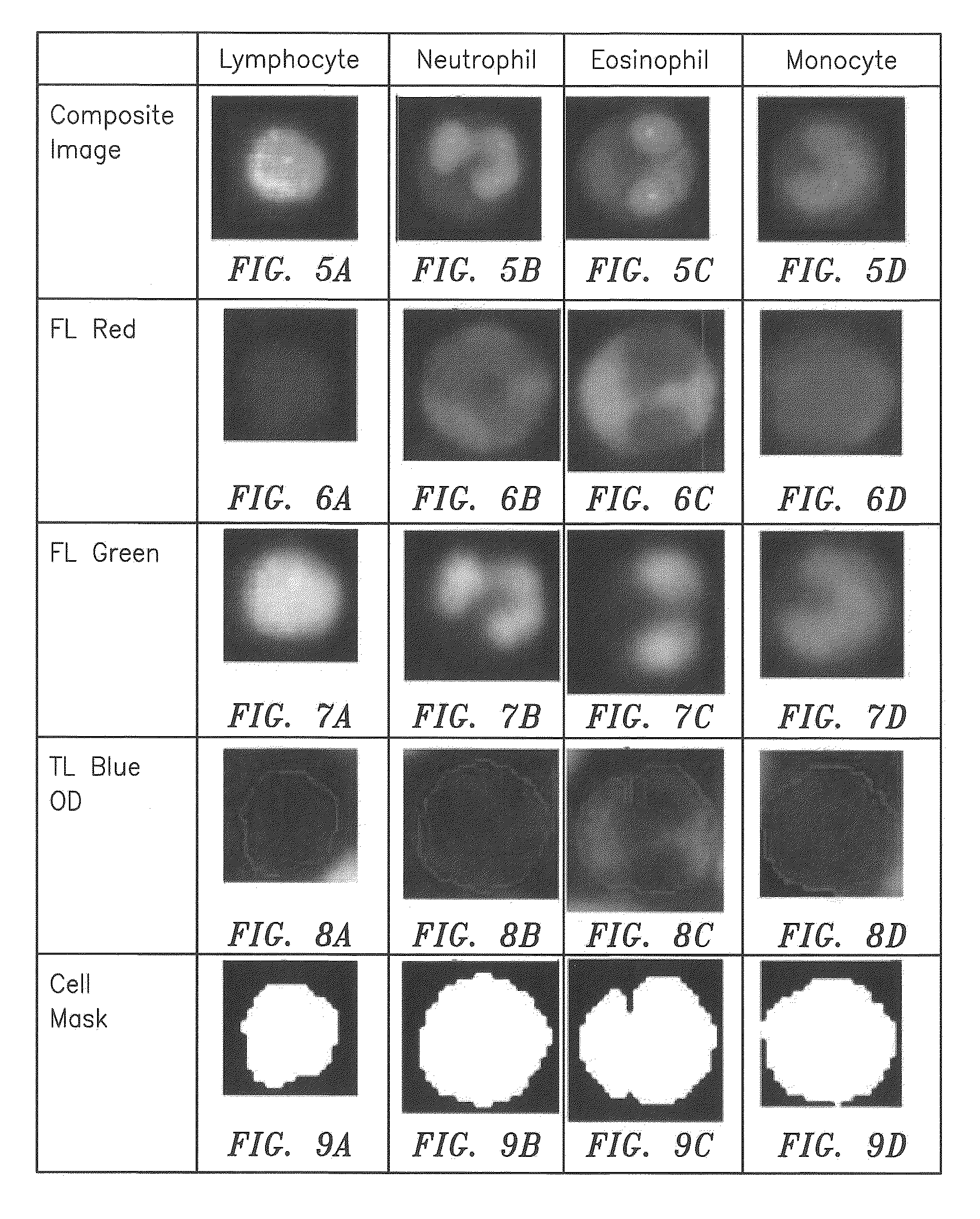 Method and apparatus for automated whole blood sample analyses from microscopy images