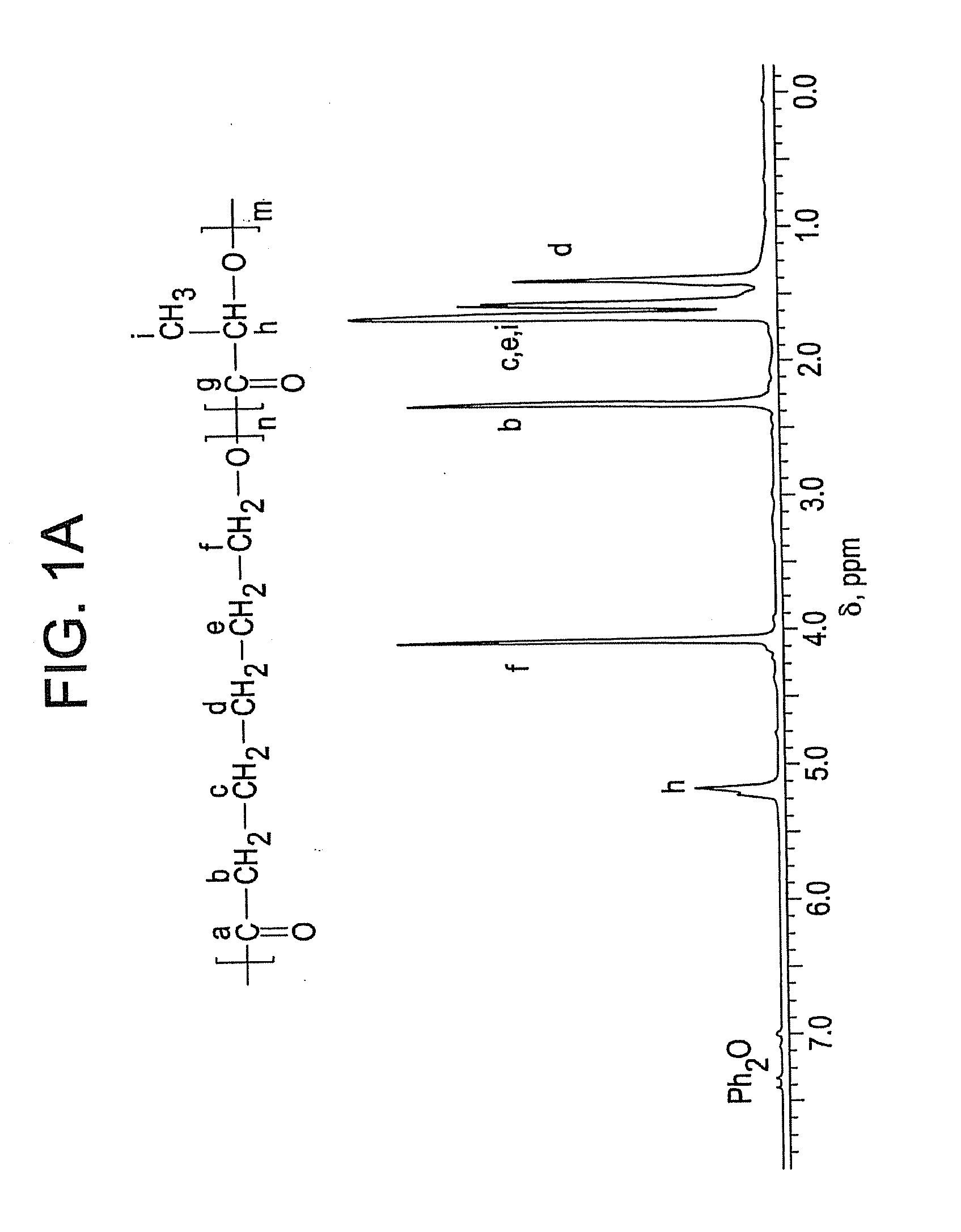 Ring-opening polymerization of cyclic esters, polyesters formed thereby, and articles comprising the polyesters