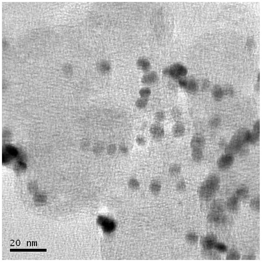 Anti-reverse-pole catalyst for fuel cell and preparation method of anti-reverse-pole catalyst