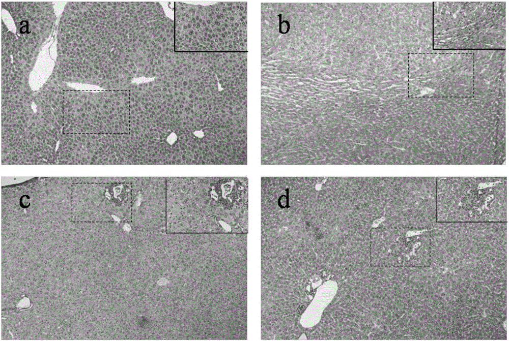 Nano Liu-Shen-Wan solution and preparation method thereof