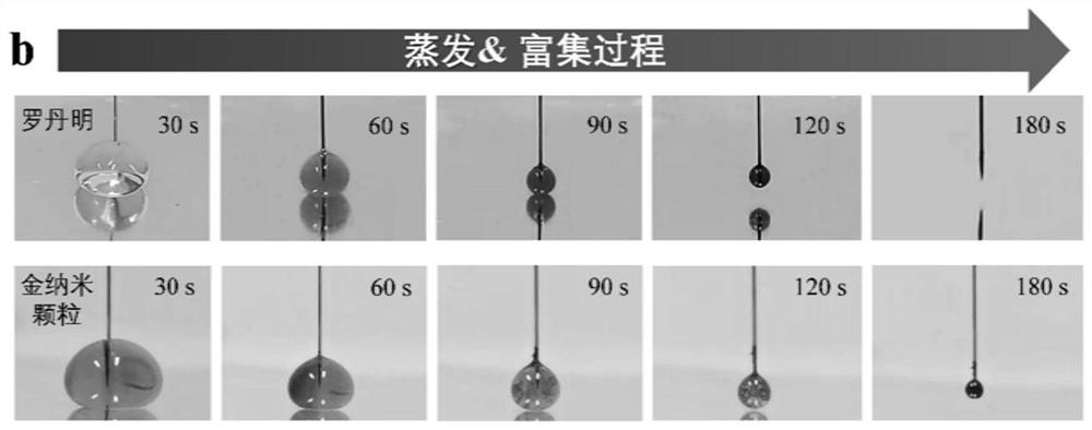 Preparation method of needle point positioning enrichment type surface enhanced Raman scattering substrate