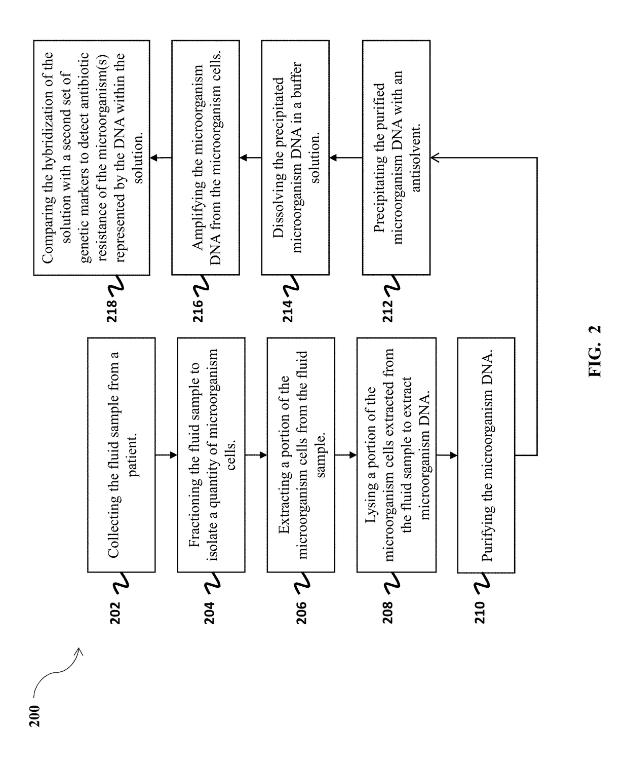 Method for detecting bacterial and fungal pathogens