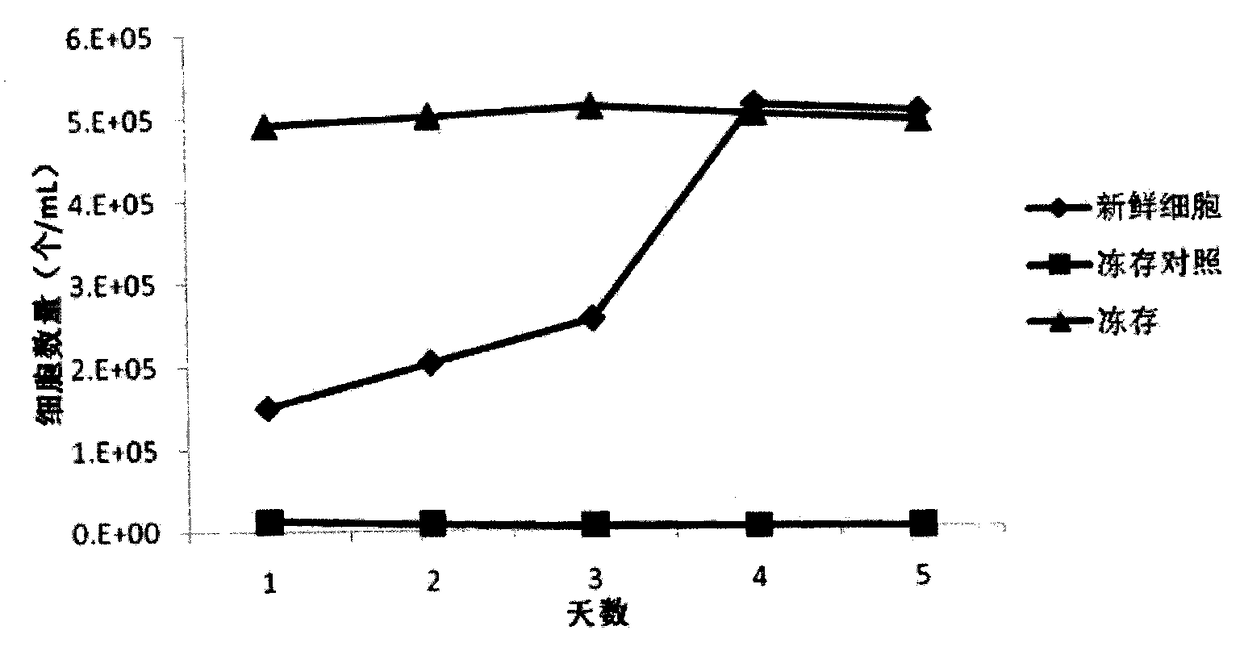 Anchorage-dependent cell cryoprotectant, cryopreservation method and thawing method