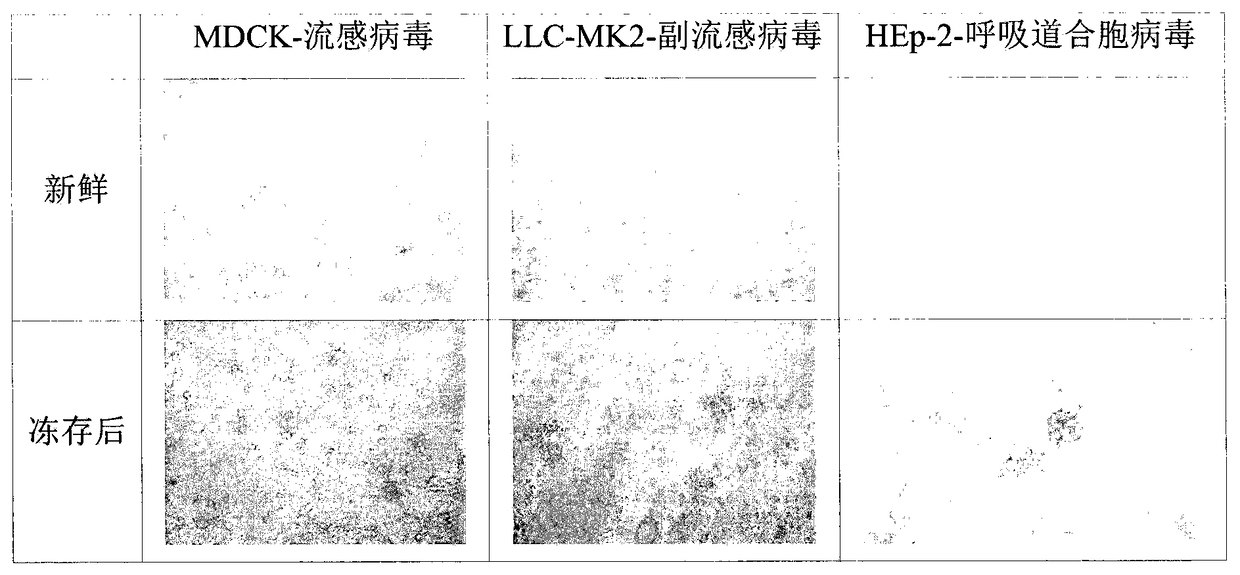 Anchorage-dependent cell cryoprotectant, cryopreservation method and thawing method