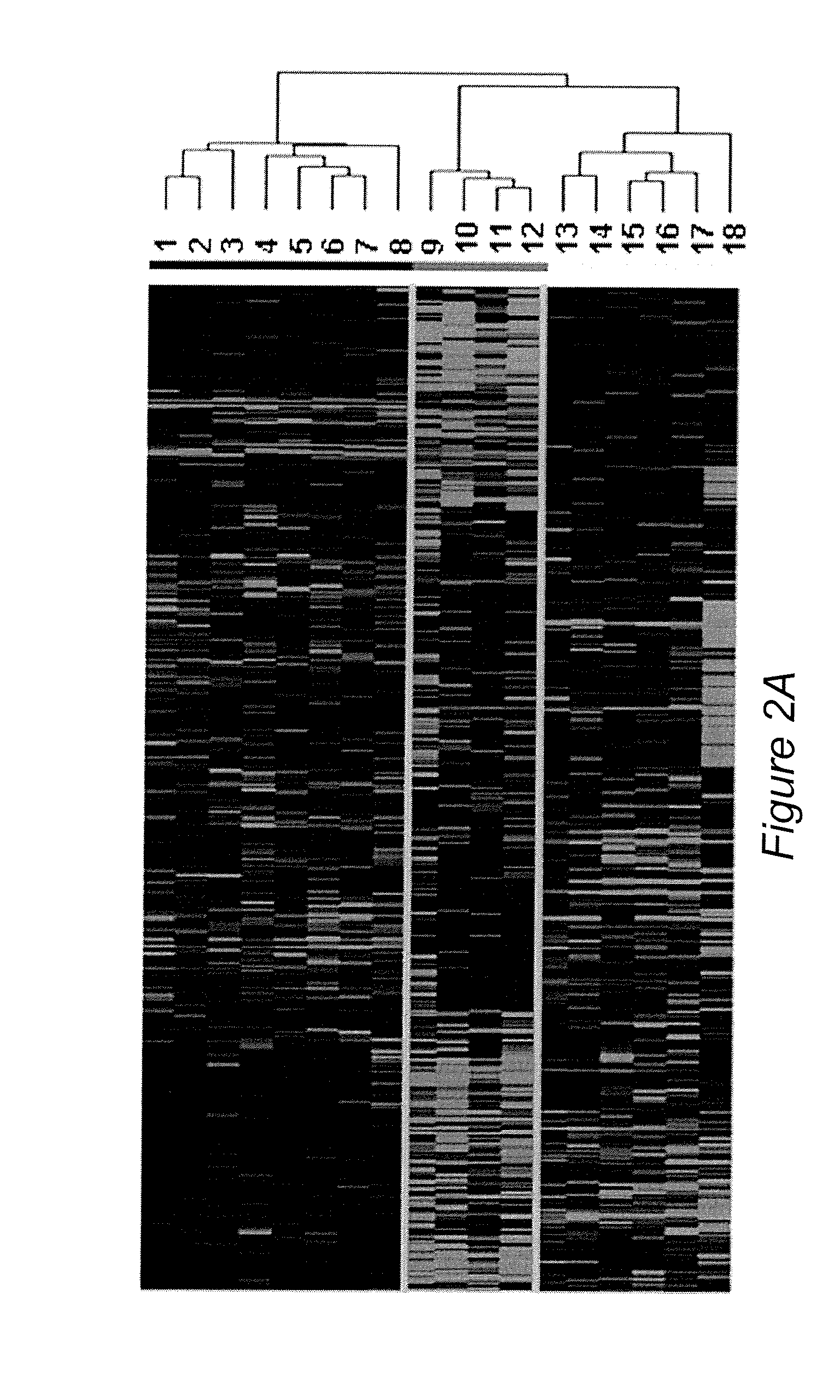 Signatures Associated with Rejection or Recurrence of Cancer