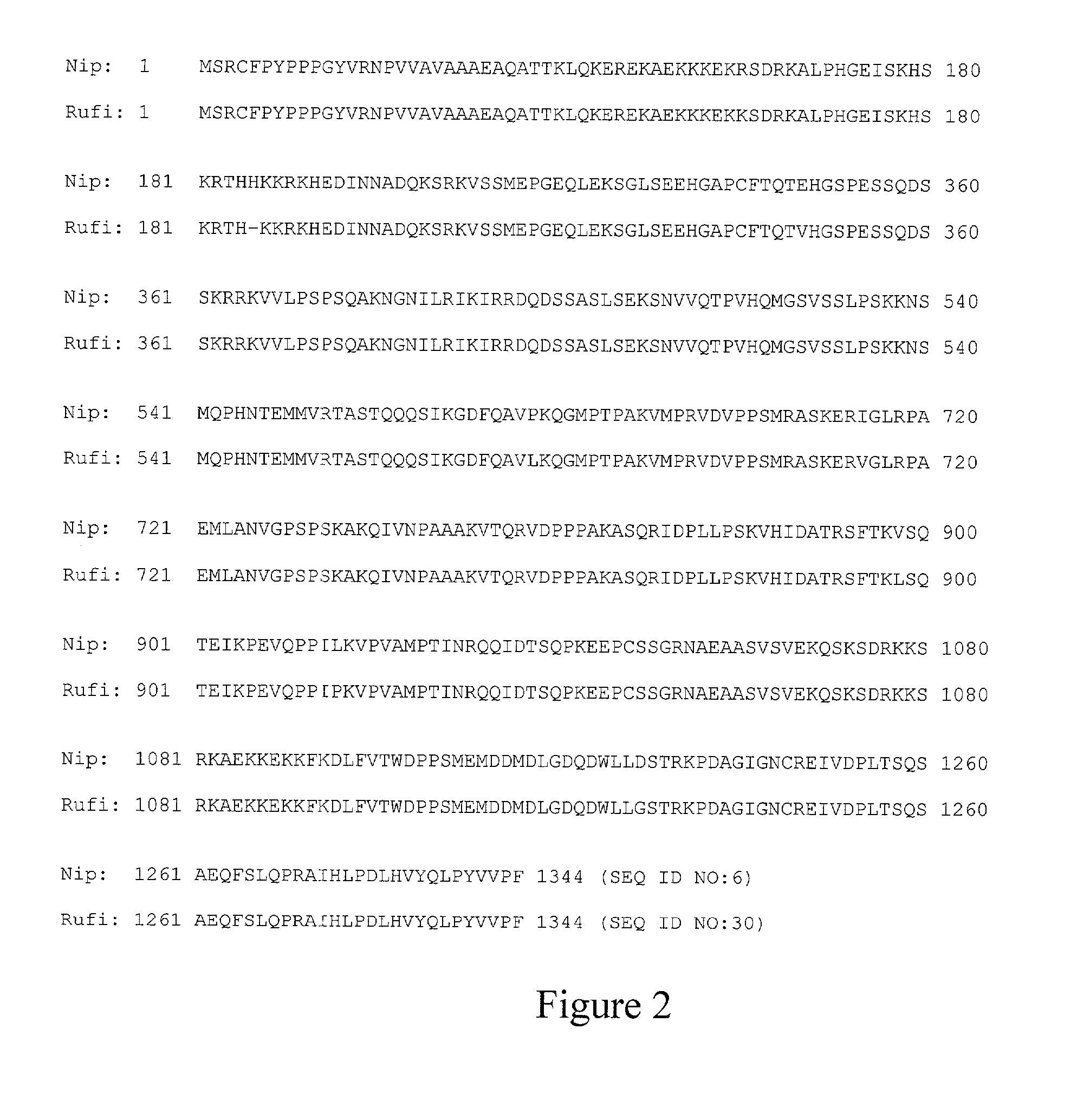 EG307 polynucleotides and uses thereof