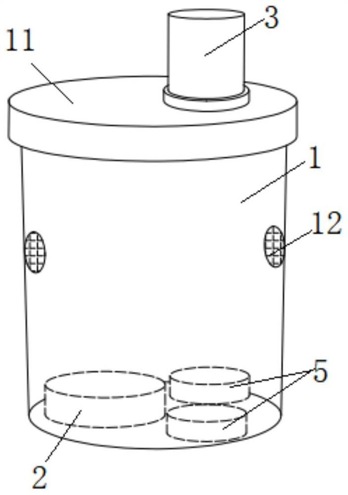 Small fruit fly (fruit fly) rearing cage and rearing system