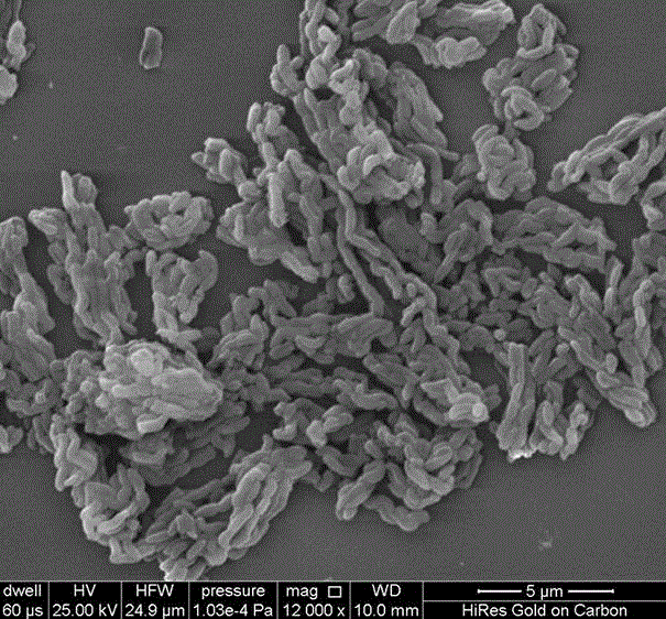 Mesoporous silica/carbon dot nanometer composite and preparation method thereof