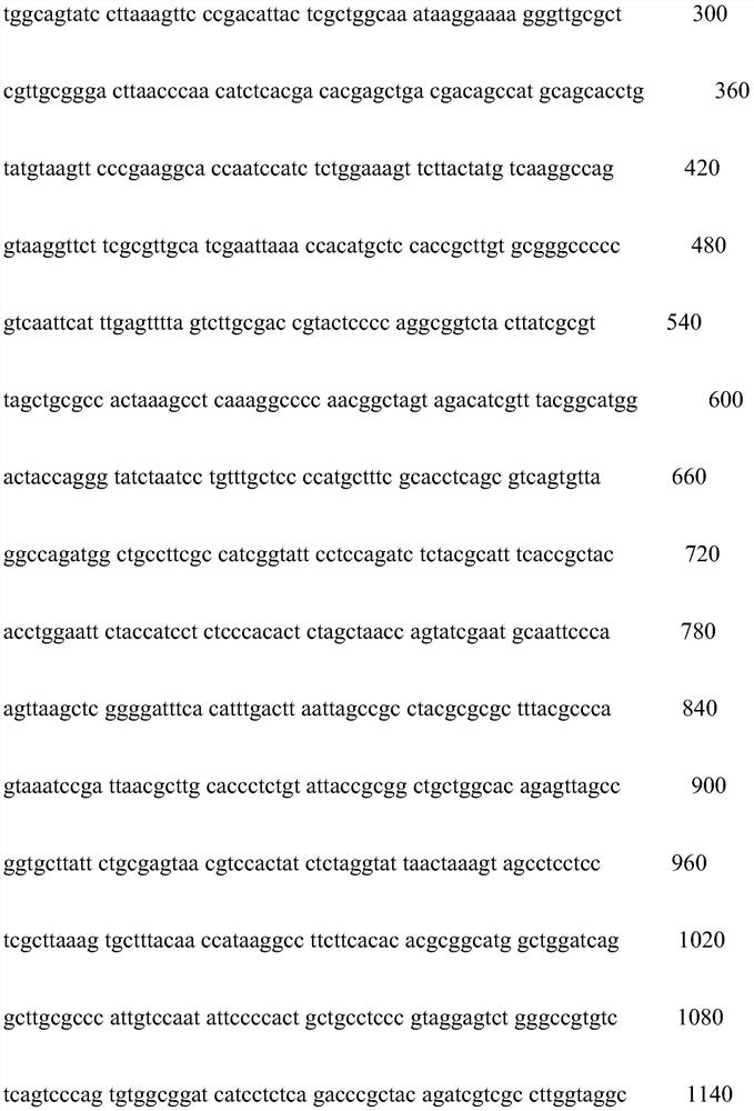 A kind of immobilized bacterial agent and its preparation method and application