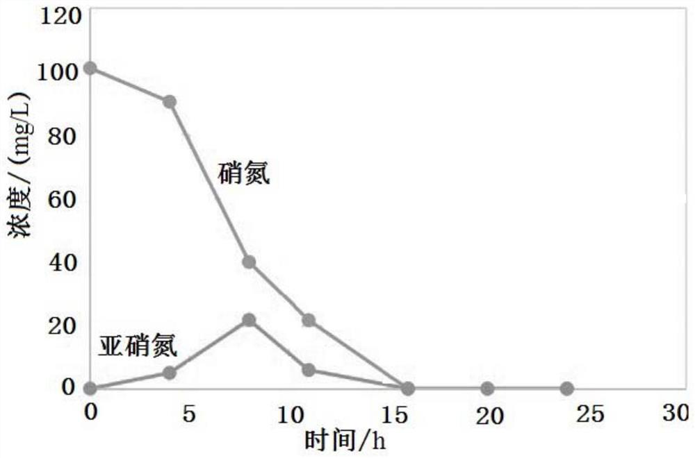 A kind of immobilized bacterial agent and its preparation method and application